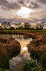 Commercial architecture